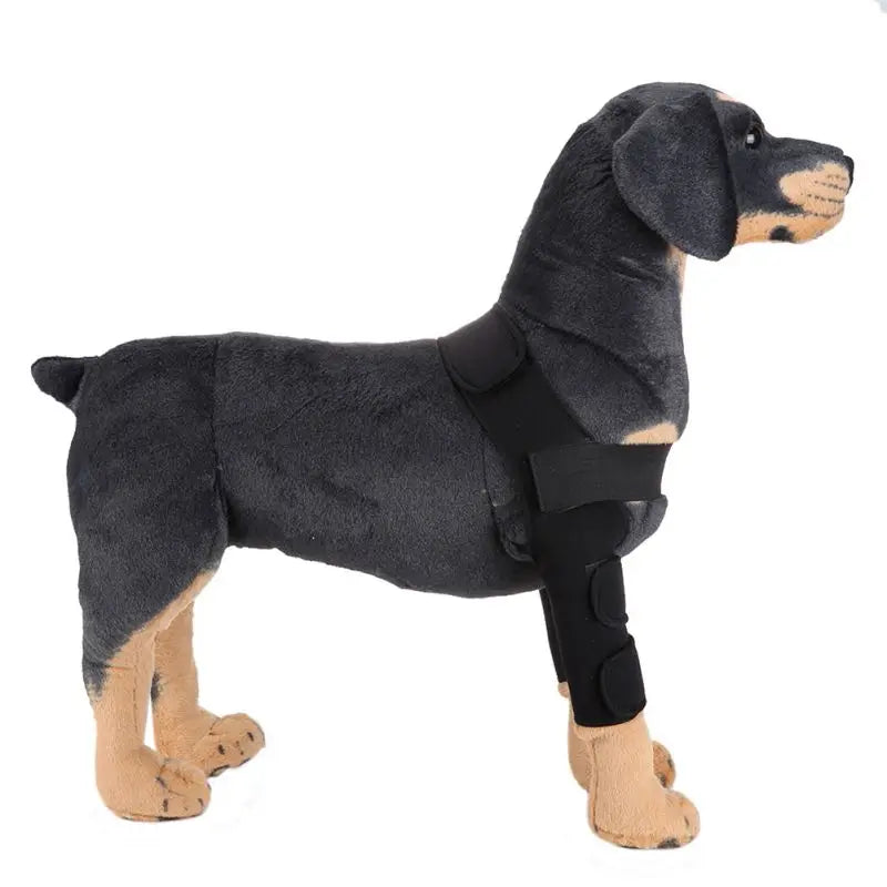 Dog Knee Brace and Leg Protector for Injury Recovery