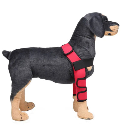 Dog Knee Brace and Leg Protector for Injury Recovery