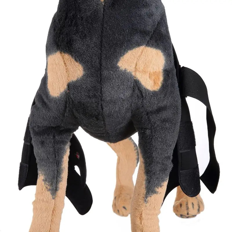 Dog Knee Brace and Leg Protector for Injury Recovery